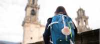 Walking the Camino de Santiago
