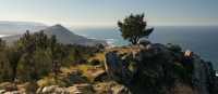 Enjoy panoramic views of the Atlantic Sea on the Portuguese Way