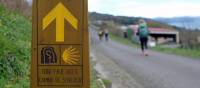 A signpost on the Camino del Norte in Spain