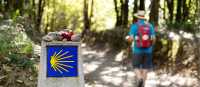 Walking the Camino de Santiago