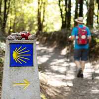 Walking the Camino de Santiago