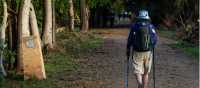 Walking the Camino trail