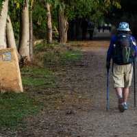 Walking the Camino trail