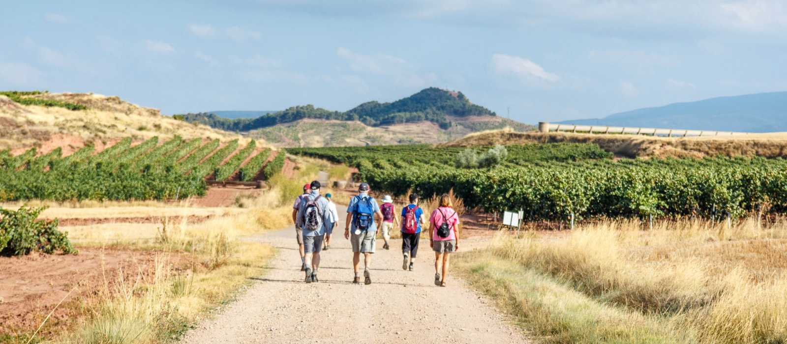 Experience the Camino de Santiago with an expert guide and small group