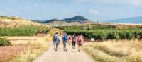 Experience the Camino de Santiago with an expert guide and small group