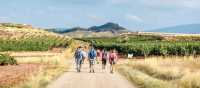 Experience the Camino de Santiago with an expert guide and small group