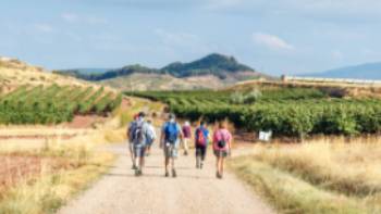 Experience the Camino de Santiago with an expert guide and small group
