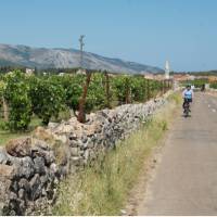 Cycling between Stari Grad and Jelsa on the island of Hvar, Croatia | Ross Baker
