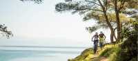 Mountain bike trails