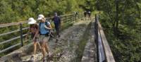 Hiking along the remains of the old Parenzana railway tracks
