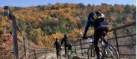 Cycling the Parenzana Rail Trail