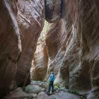 Venturing through Avakas Gorge in the Paphos District.