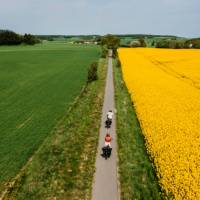 Marvel at the colours of Denmark's countryside. | Sarah Green