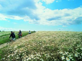 Cycling through the Danish countryside