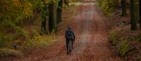 Man biking in the Parforce forest in Denmark | Tine Uffelmann