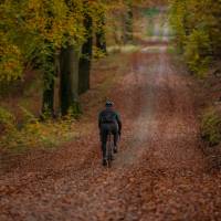 Man biking in the Parforce forest in Denmark | Tine Uffelmann