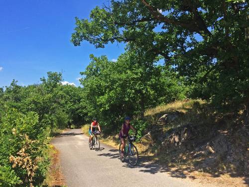 Beautiful countryside on the way from Prague to Vienna&#160;-&#160;<i>Photo:&#160;Els van Veelan</i>