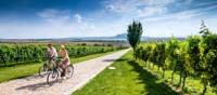 Cycling by vineyards in the Czech Republic | Petr Slavík