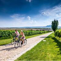 Cycling by vineyards in the Czech Republic | Petr Slavík