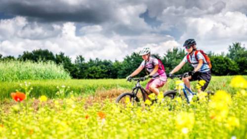 Become immersed in the Czech Republic on a bike tour