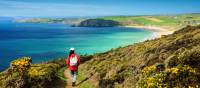 Walking the Salt Path, or South West Coast Path, in England | Roy Curtis