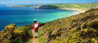 Walking the Salt Path, or South West Coast Path, in England | Roy Curtis