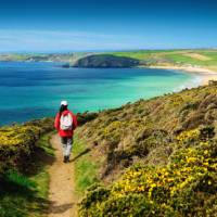 Walking the Salt Path, or South West Coast Path, in England | Roy Curtis