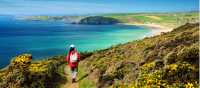 Walking the Salt Path, or South West Coast Path, in England | Roy Curtis