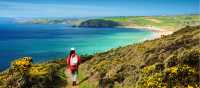 Walking the Salt Path, or South West Coast Path, in England | Roy Curtis