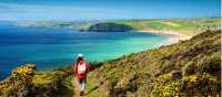 Walking the Salt Path, or South West Coast Path, in England | Roy Curtis