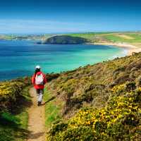 Walking the Salt Path, or South West Coast Path, in England | Roy Curtis