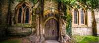 When nature and architecture combine | Tim Charody
