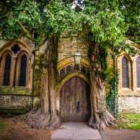 When nature and architecture combine | Tim Charody