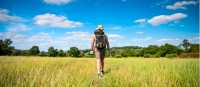 Hiking in the Cotswolds | Tim Charody