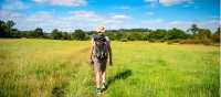 Walk through classic English countryside | Tim Charody