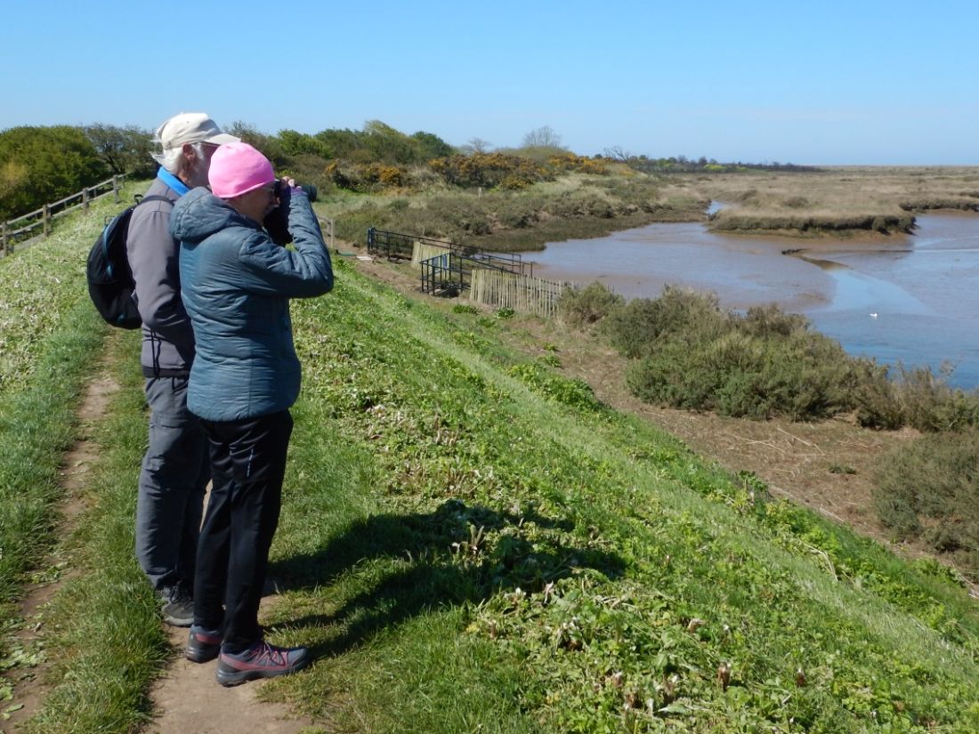 Norfolk Coast Path walkers pause to view a tidal estuary with binoculars |  Peter Wells