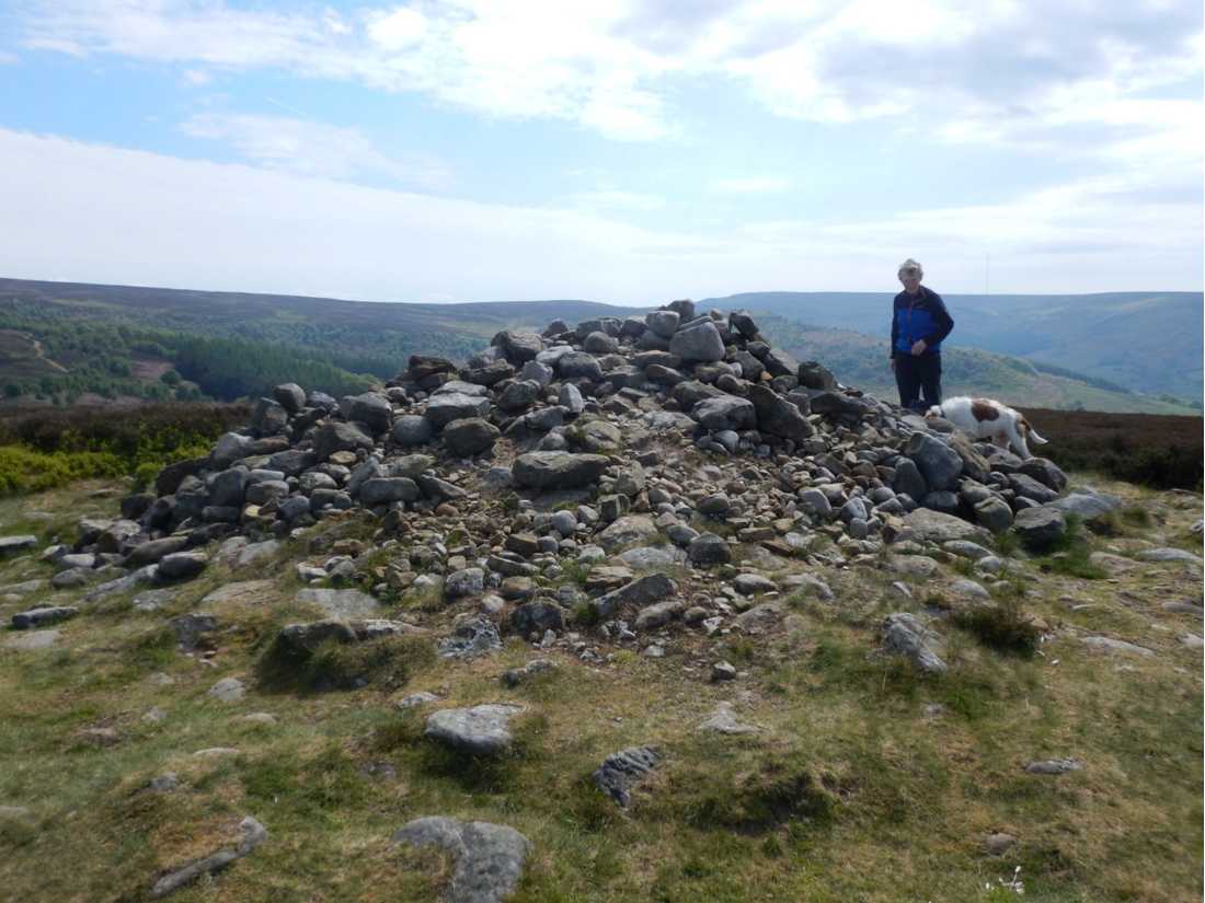 A Neolithic burial mound, a protected archaeological site |  Peter Wells