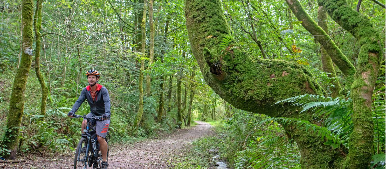 Cycling the magical paths of Rowrah along the Coast to Coast in England | Andrew Bain
