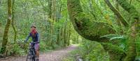 Cycling the magical paths of Rowrah along the Coast to Coast in England | Andrew Bain