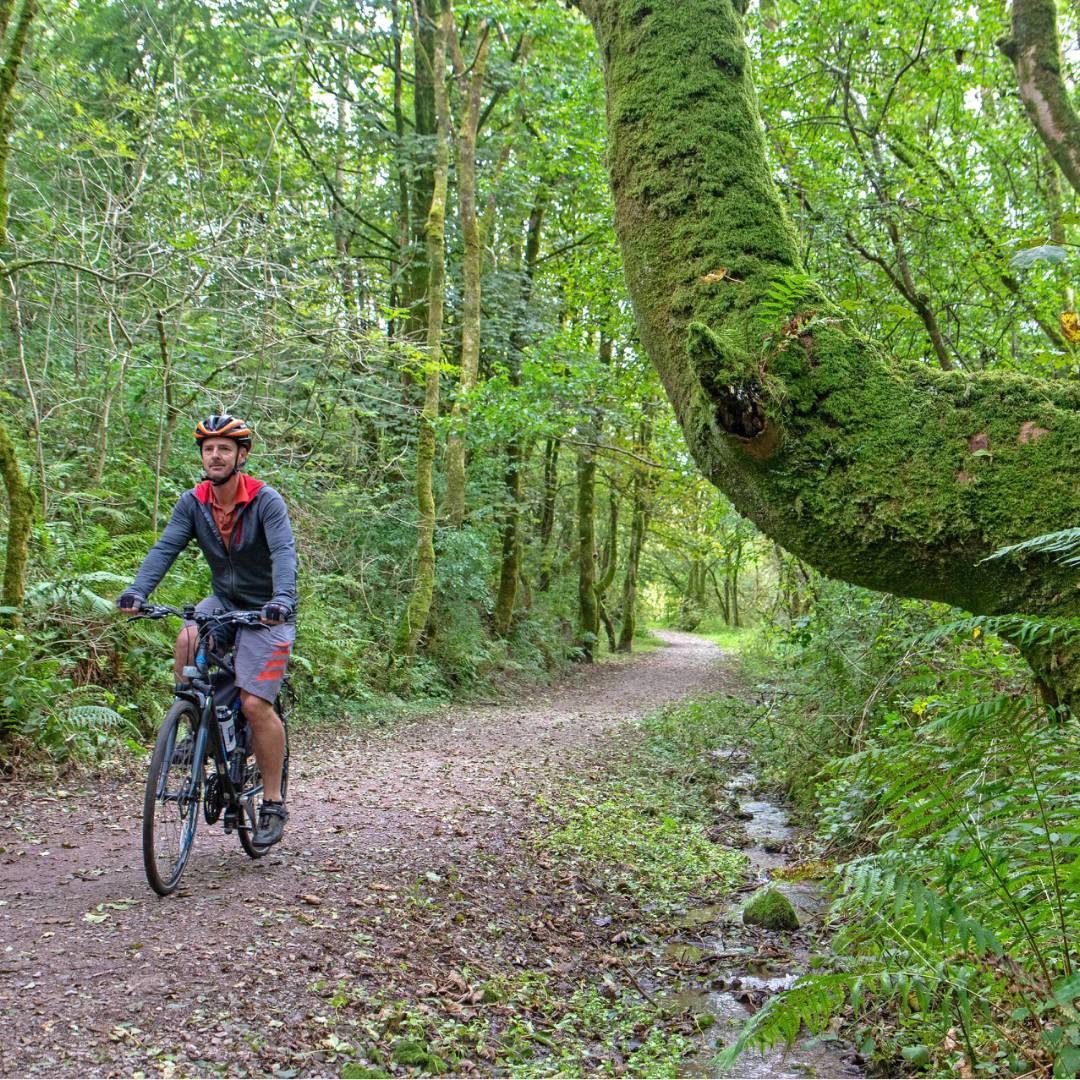Cycling the magical paths of Rowrah along the Coast to Coast in England | Andrew Bain