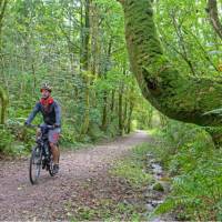 Cycling the magical paths of Rowrah along the Coast to Coast in England | Andrew Bain