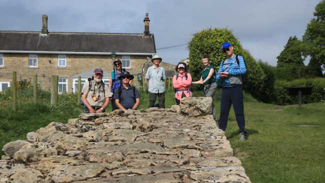 Section of Hadrian's Wall in suburb of Newcastle-upon-Tyne | John Millen