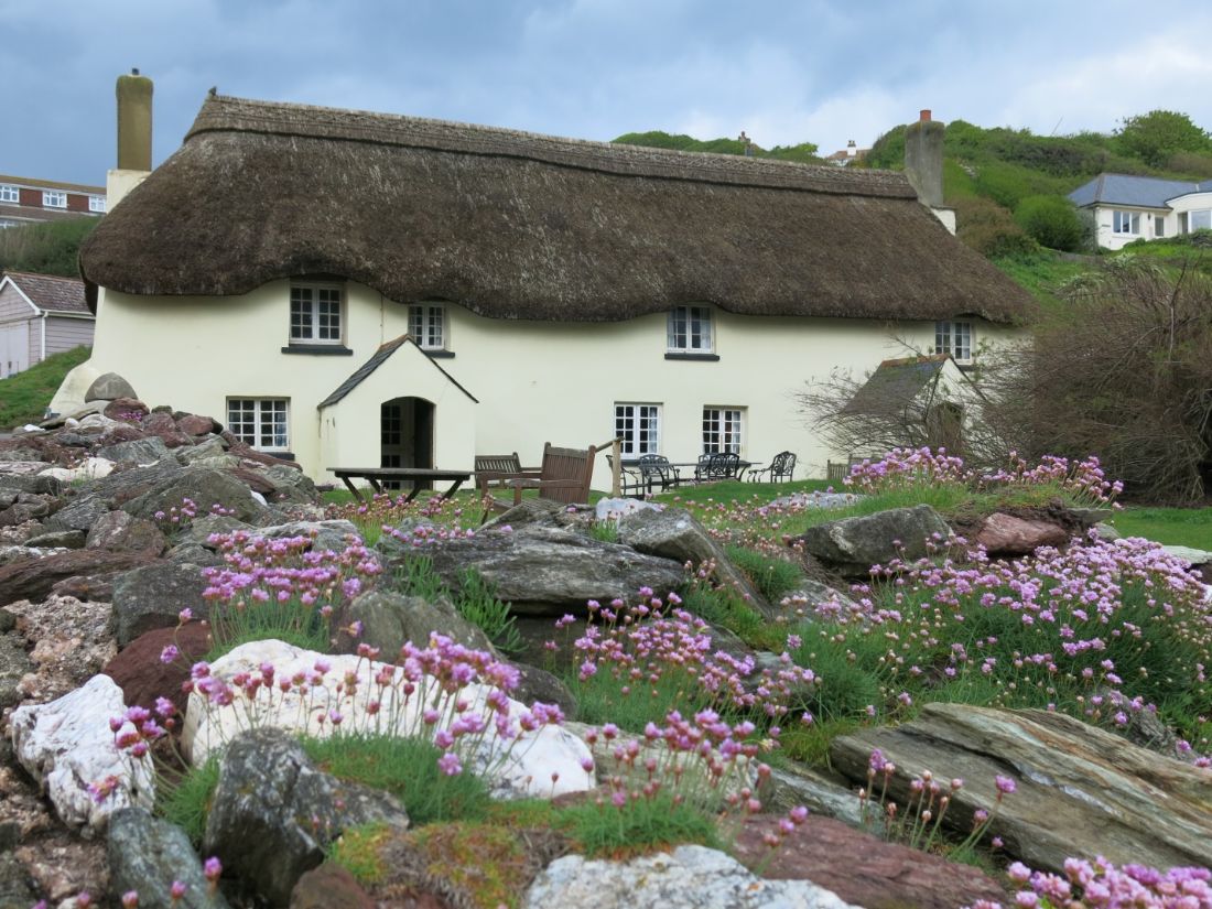 South West Coast Path walking past a thatched cottage amid coastal wildflowers |  Peter Wells