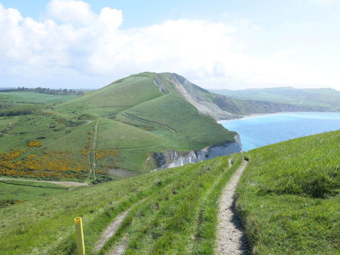 South West Coast Path walking trail curves along cliffs above a turquoise bay |  Peter Wells