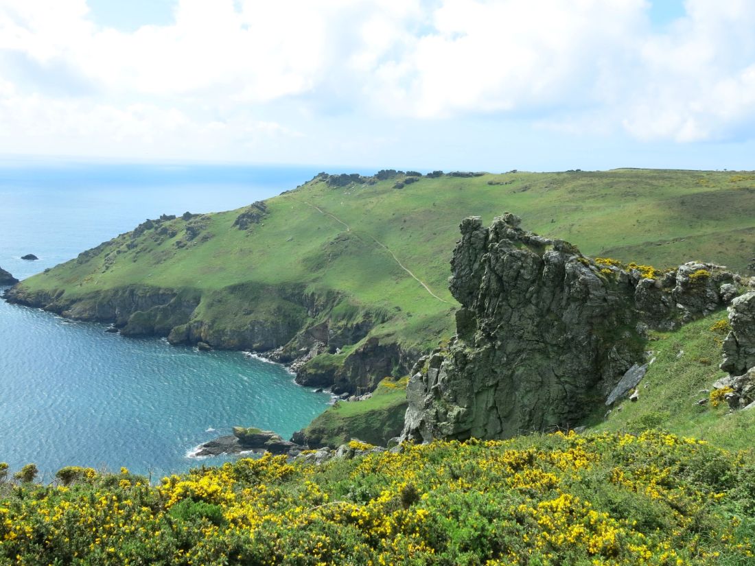 South West Coast Path walkers pass gorse-covered cliffs above a turquoise cove |  Peter Wells