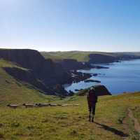 Walking with sheep on the South West Coast Path in Cornwall