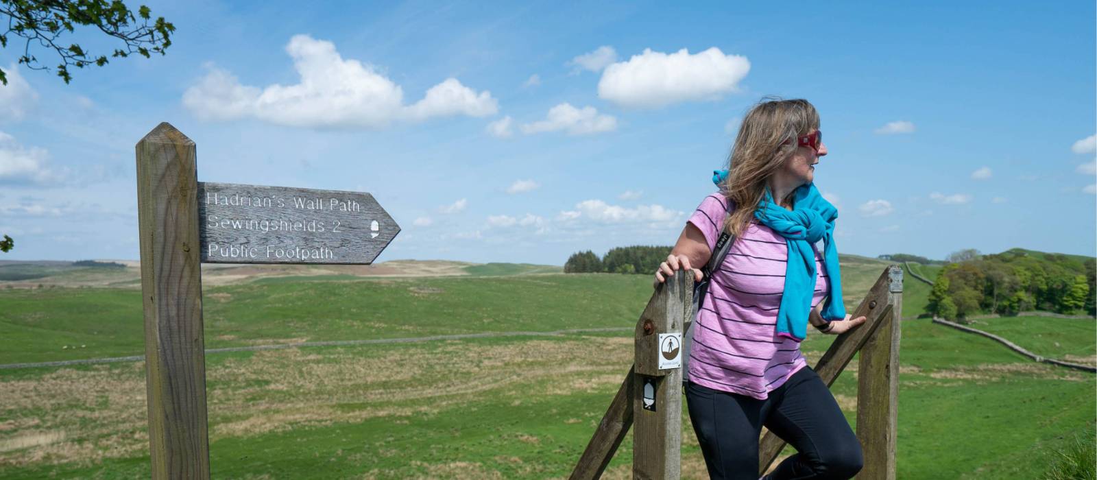 Follow the signs of the Hadrian's Wall Path | Matt Sharman