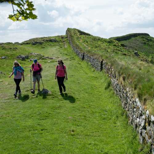 Follow Hadrian's Wall over rolling hills