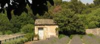 The garden Van Gogh looked out on from the psychiatric home near St Remy de Provence | Rob Allsop