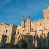 Palais des Papes, Avignon, France | Rachel Imber